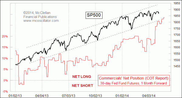 Chart In Focus