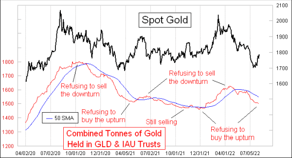 Chart In Focus