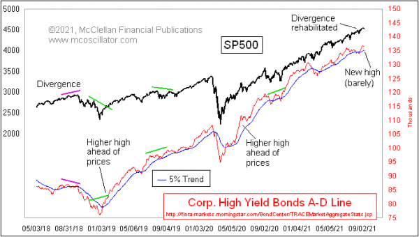 Chart In Focus