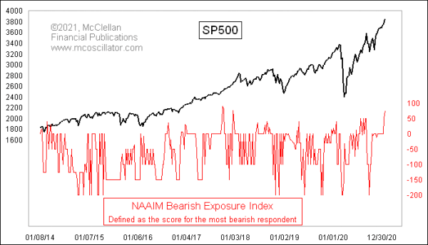 NAAIM Bearish