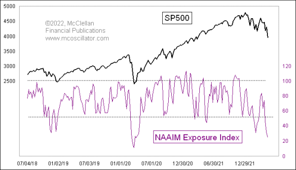 NAAIM Exposure Index