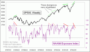 weekly Chart In Focus